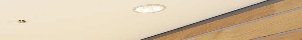 plafond kitten